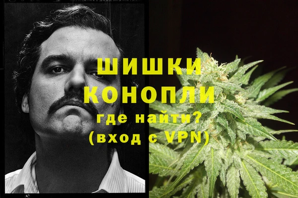 дмт Алзамай