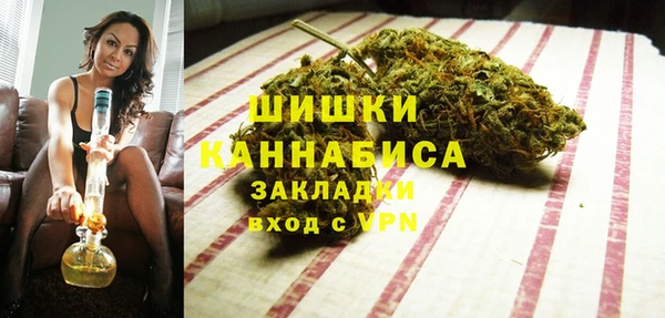 бошки Алексин