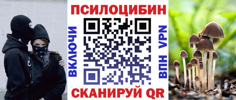 Купить закладки  Воткинск  Псилоцибиновые грибы GOLDEN TEACHER 